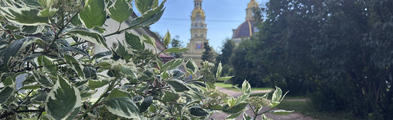 Туры в Петербург