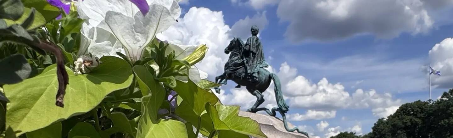 Школьникам Санкт-Петербурга