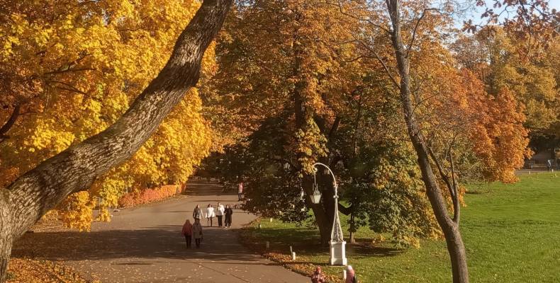 Осенние каникулы в Санкт-Петербурге. Бюджет. 