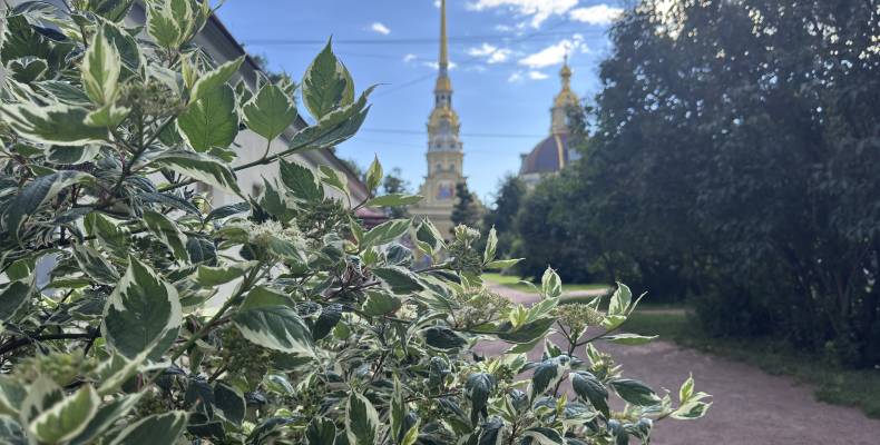 Классический Санкт-Петербург 2 дня