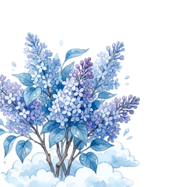 Школам