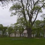 Михайловское