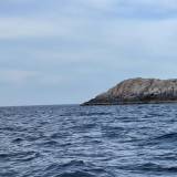 Белое море